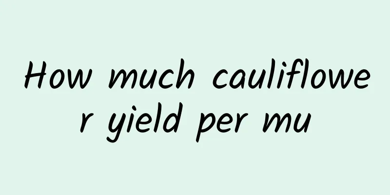 How much cauliflower yield per mu