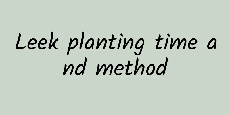 Leek planting time and method