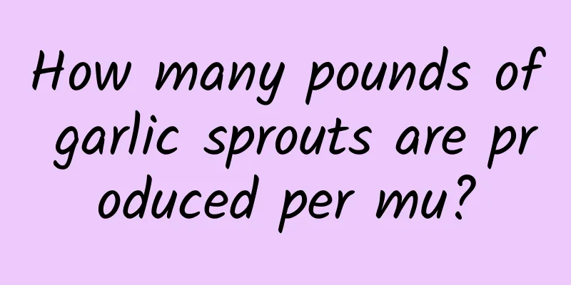 How many pounds of garlic sprouts are produced per mu?