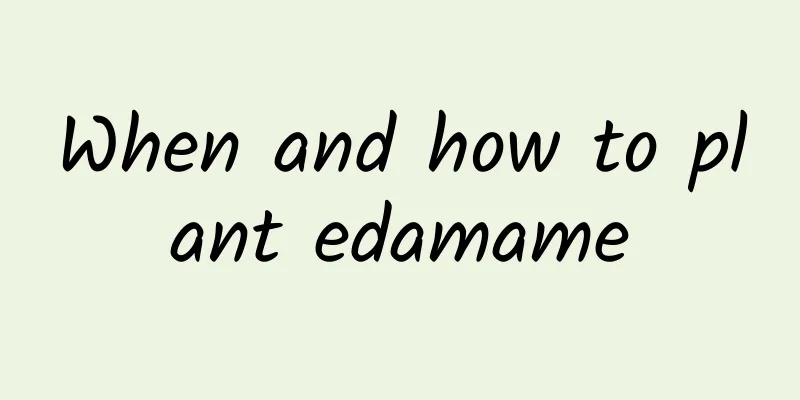 When and how to plant edamame