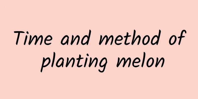 Time and method of planting melon