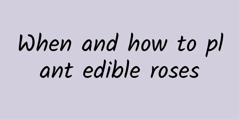 When and how to plant edible roses