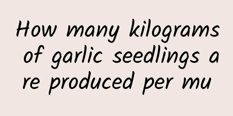 How many kilograms of garlic seedlings are produced per mu