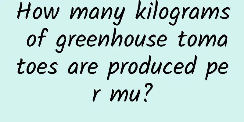 How many kilograms of greenhouse tomatoes are produced per mu?