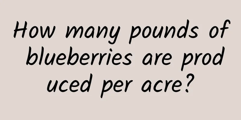 How many pounds of blueberries are produced per acre?