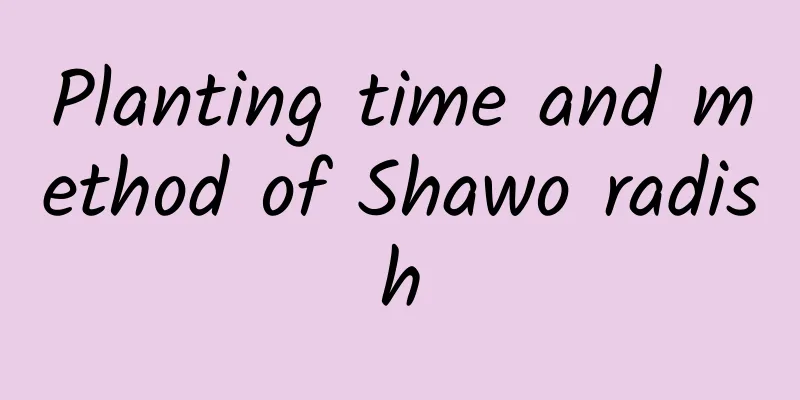 Planting time and method of Shawo radish