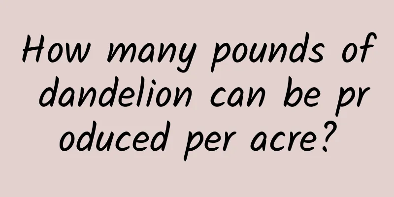 How many pounds of dandelion can be produced per acre?