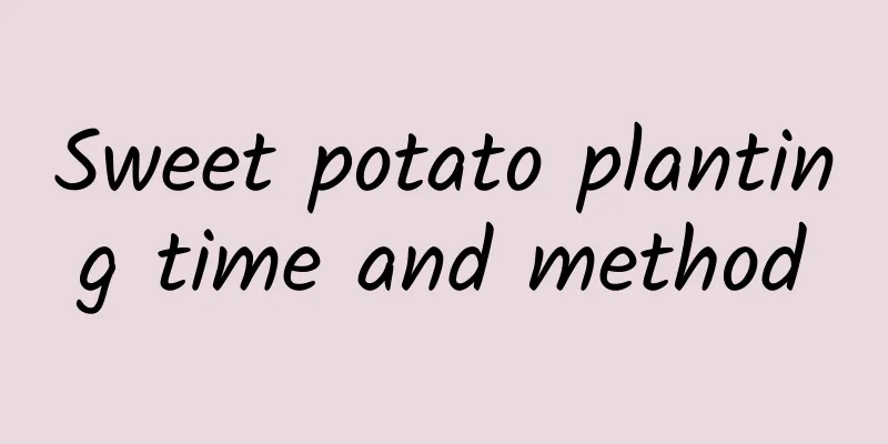 Sweet potato planting time and method