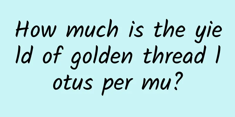 How much is the yield of golden thread lotus per mu?