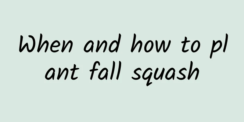 When and how to plant fall squash