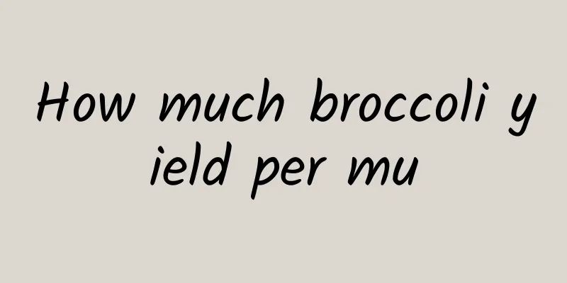 How much broccoli yield per mu