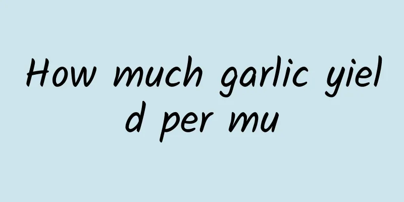 How much garlic yield per mu