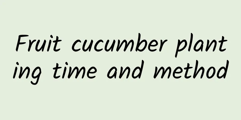 Fruit cucumber planting time and method