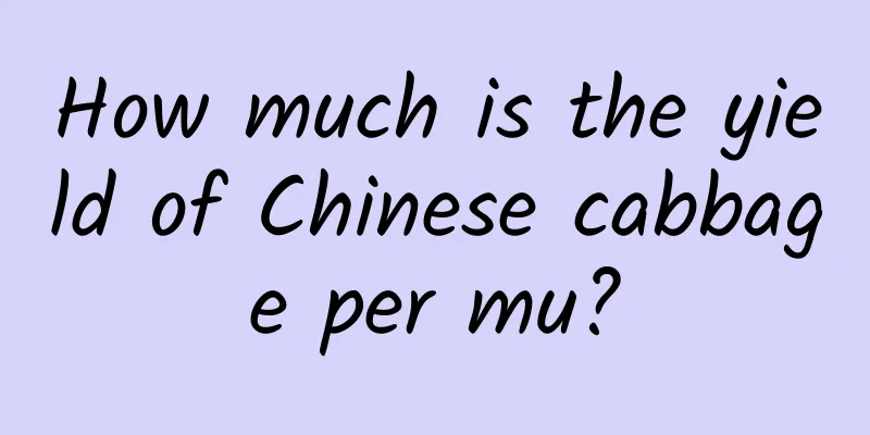 How much is the yield of Chinese cabbage per mu?