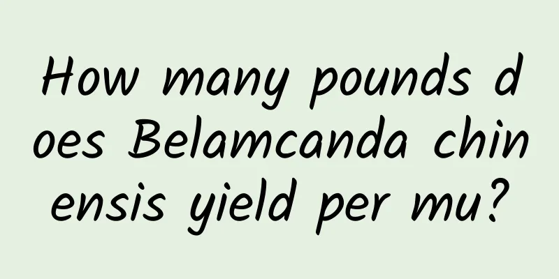 How many pounds does Belamcanda chinensis yield per mu?