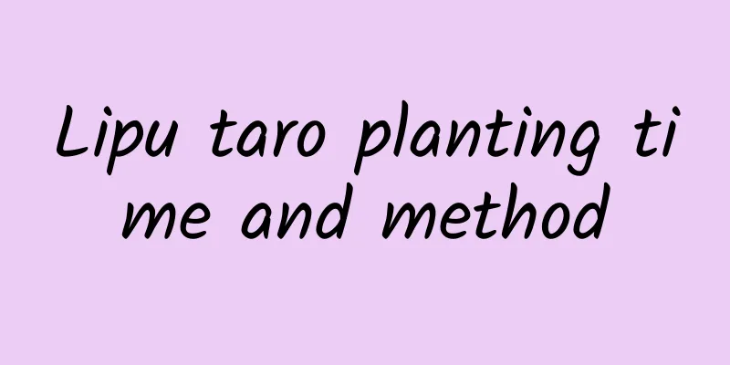 Lipu taro planting time and method