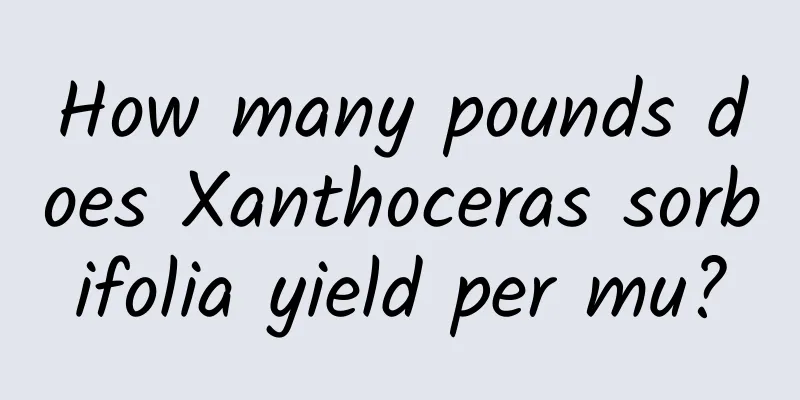 How many pounds does Xanthoceras sorbifolia yield per mu?