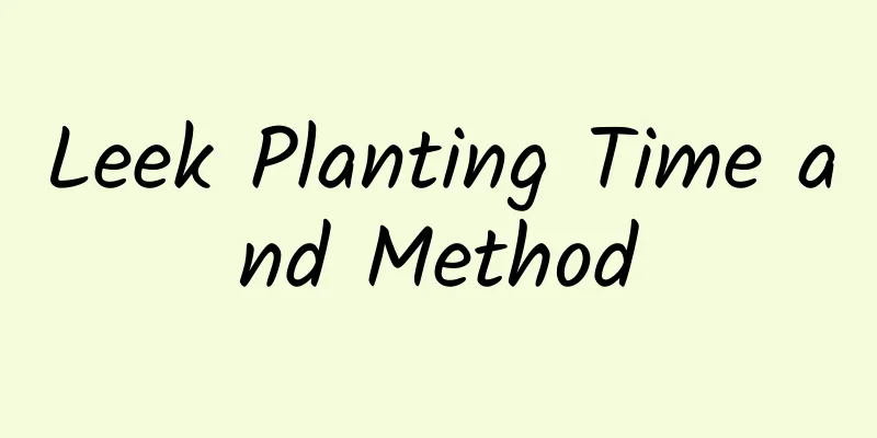 Leek Planting Time and Method