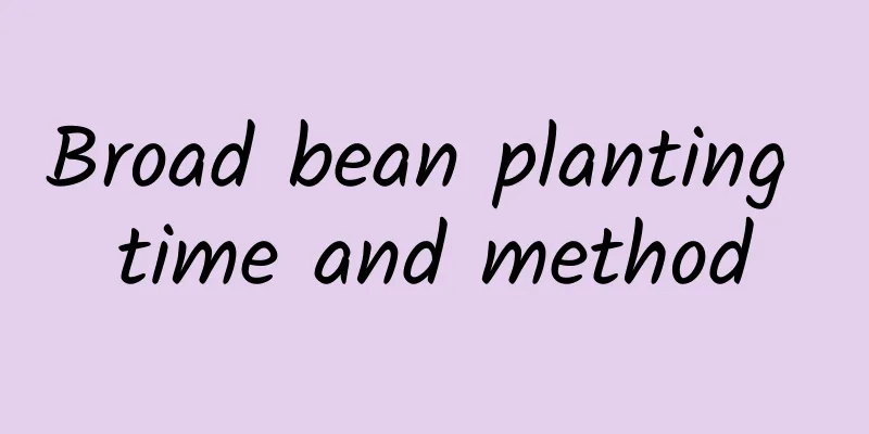 Broad bean planting time and method