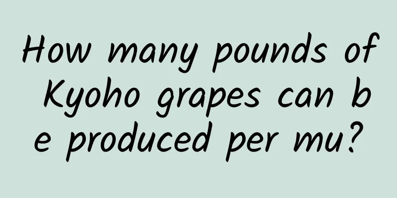 How many pounds of Kyoho grapes can be produced per mu?