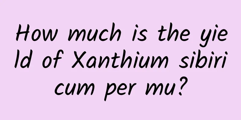 How much is the yield of Xanthium sibiricum per mu?