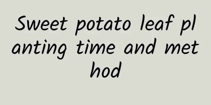 Sweet potato leaf planting time and method