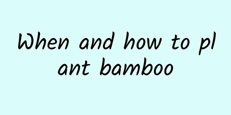 When and how to plant bamboo