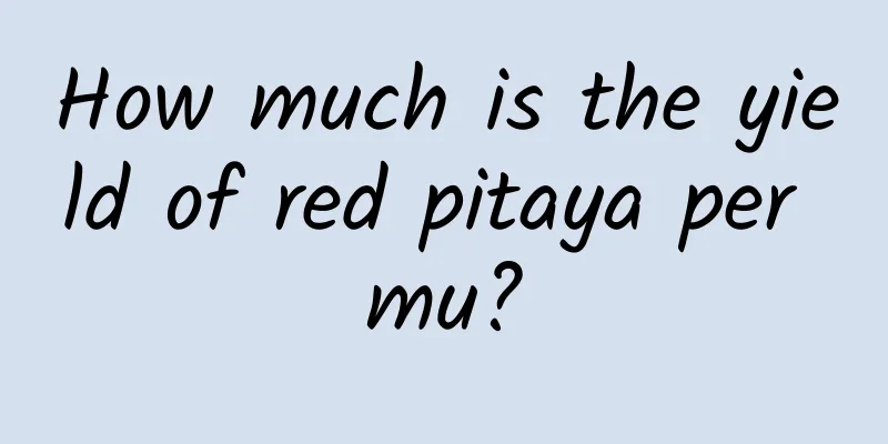 How much is the yield of red pitaya per mu?