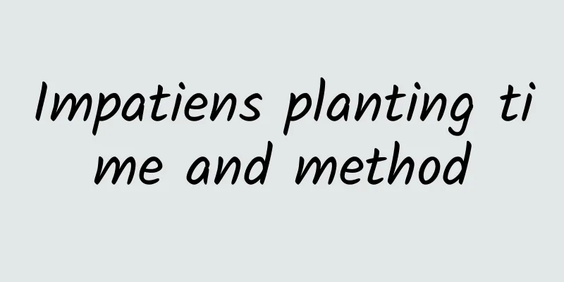 Impatiens planting time and method