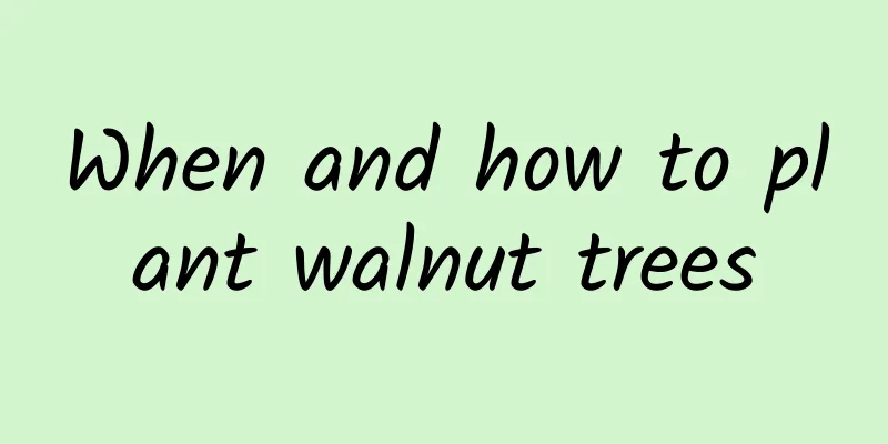 When and how to plant walnut trees