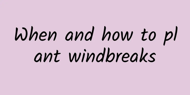 When and how to plant windbreaks