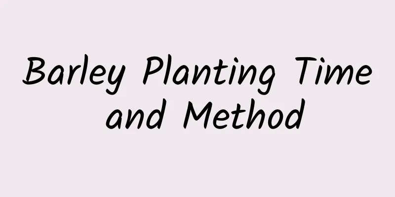 Barley Planting Time and Method