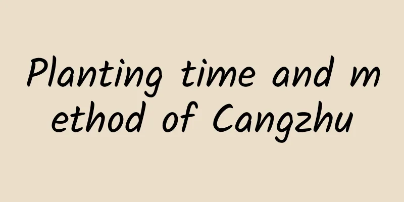 Planting time and method of Cangzhu