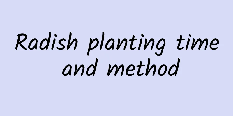 Radish planting time and method