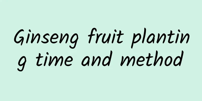 Ginseng fruit planting time and method