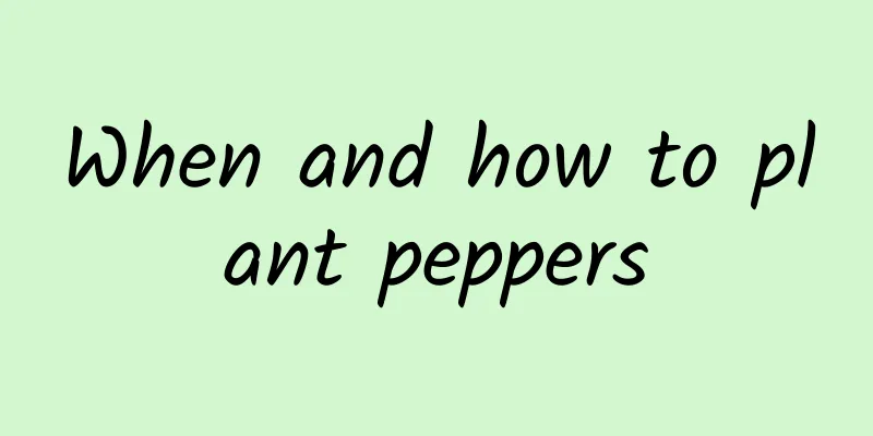 When and how to plant peppers