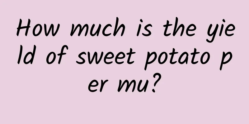 How much is the yield of sweet potato per mu?