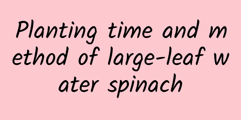 Planting time and method of large-leaf water spinach