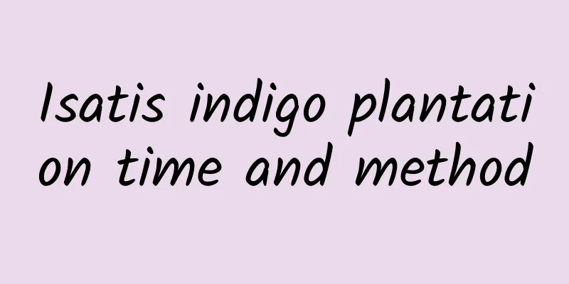 Isatis indigo plantation time and method