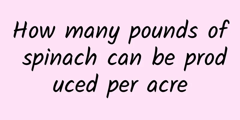 How many pounds of spinach can be produced per acre