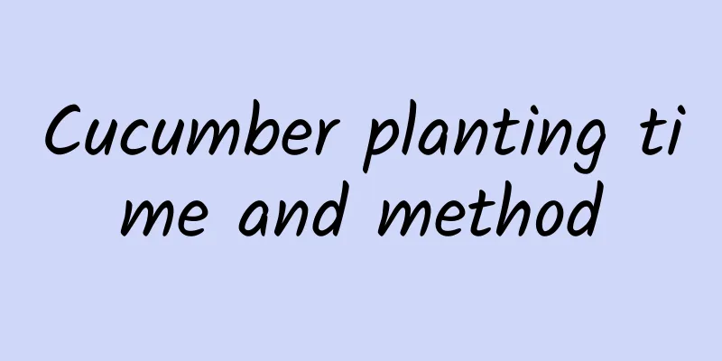 Cucumber planting time and method