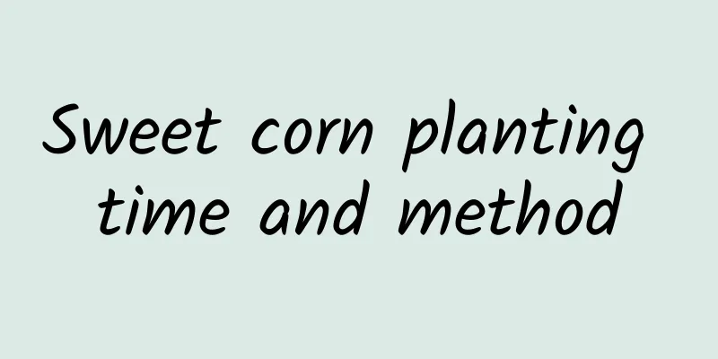 Sweet corn planting time and method