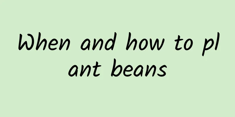 When and how to plant beans