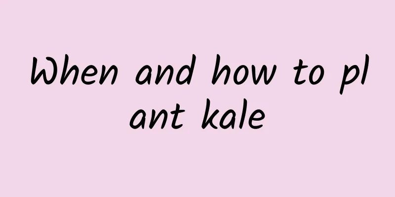When and how to plant kale