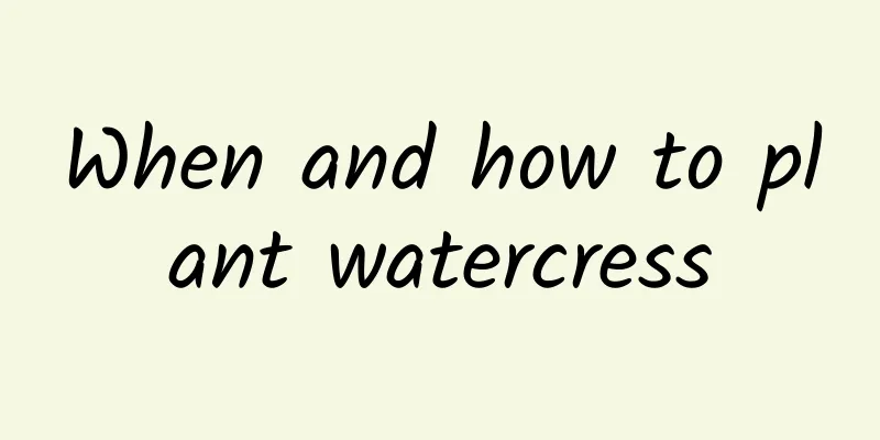 When and how to plant watercress