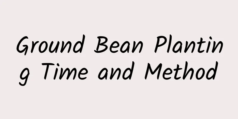 Ground Bean Planting Time and Method
