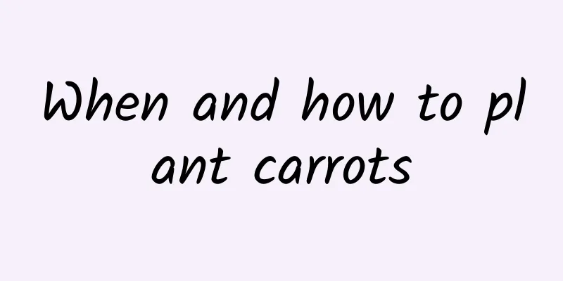 When and how to plant carrots