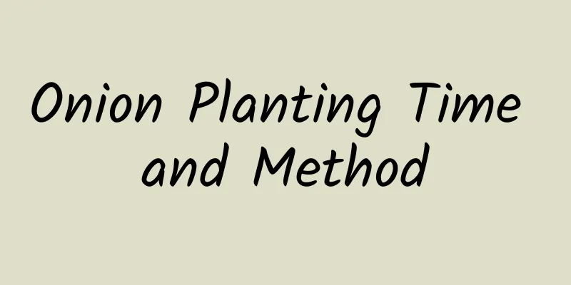 Onion Planting Time and Method