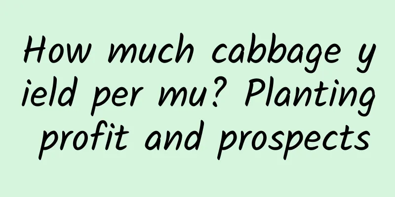 How much cabbage yield per mu? Planting profit and prospects