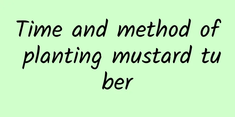 Time and method of planting mustard tuber